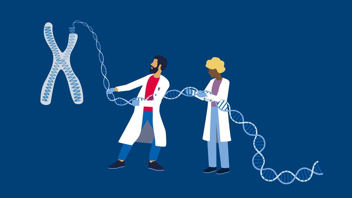 Two scientist unraveling long DNA strands from a chromosome